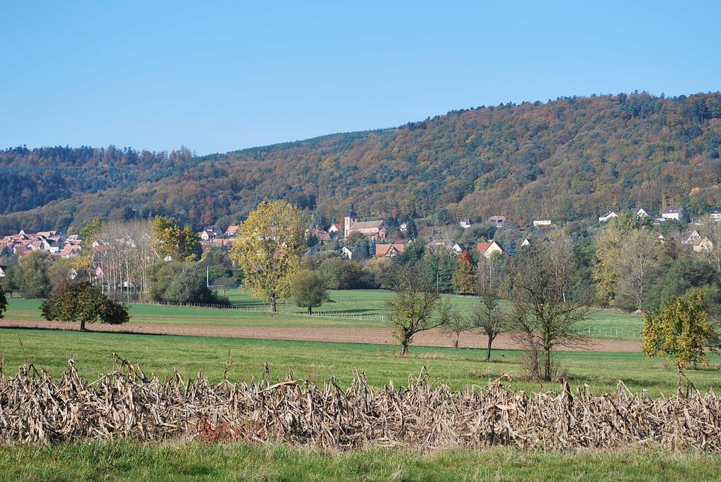 Chambres D'Hotes Les Vignes Saint-Jean-Saverne Екстериор снимка