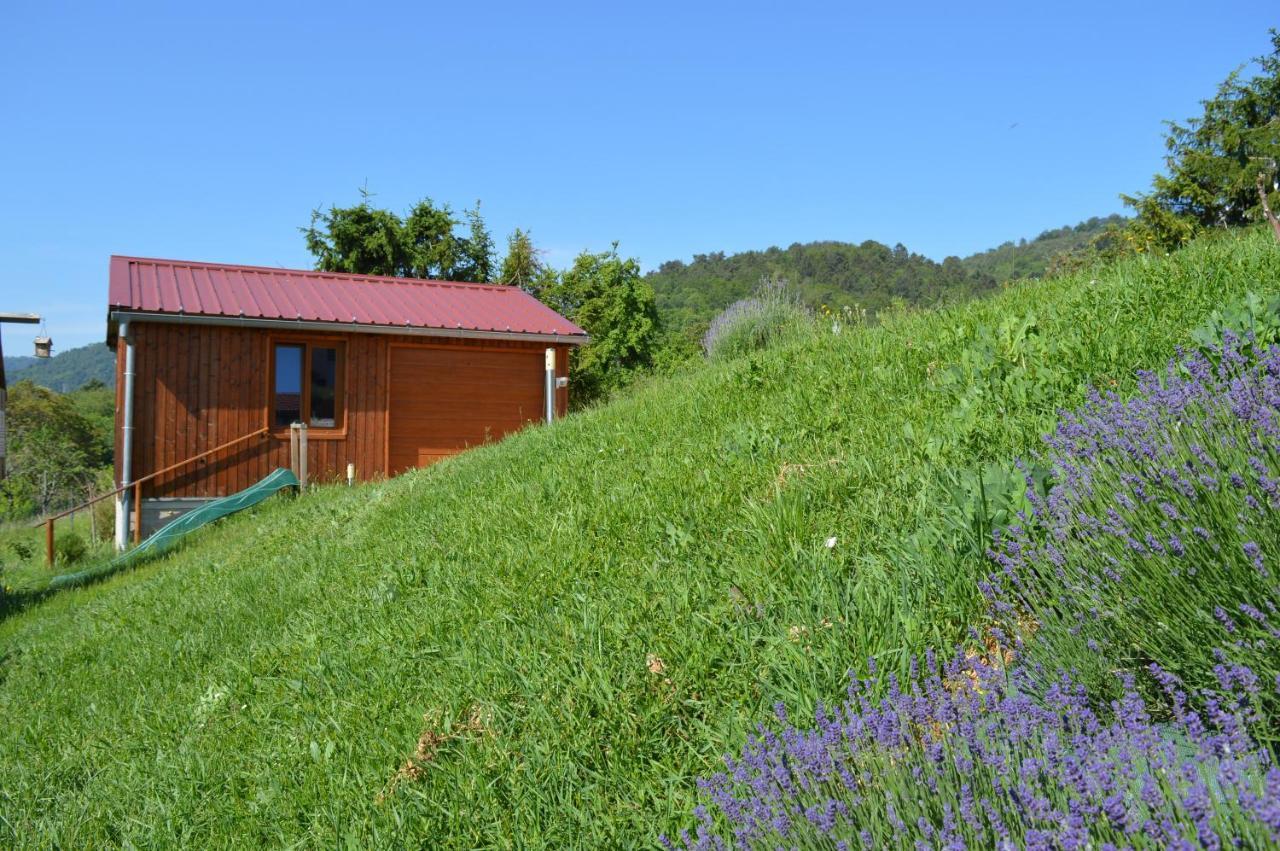 Chambres D'Hotes Les Vignes Saint-Jean-Saverne Екстериор снимка