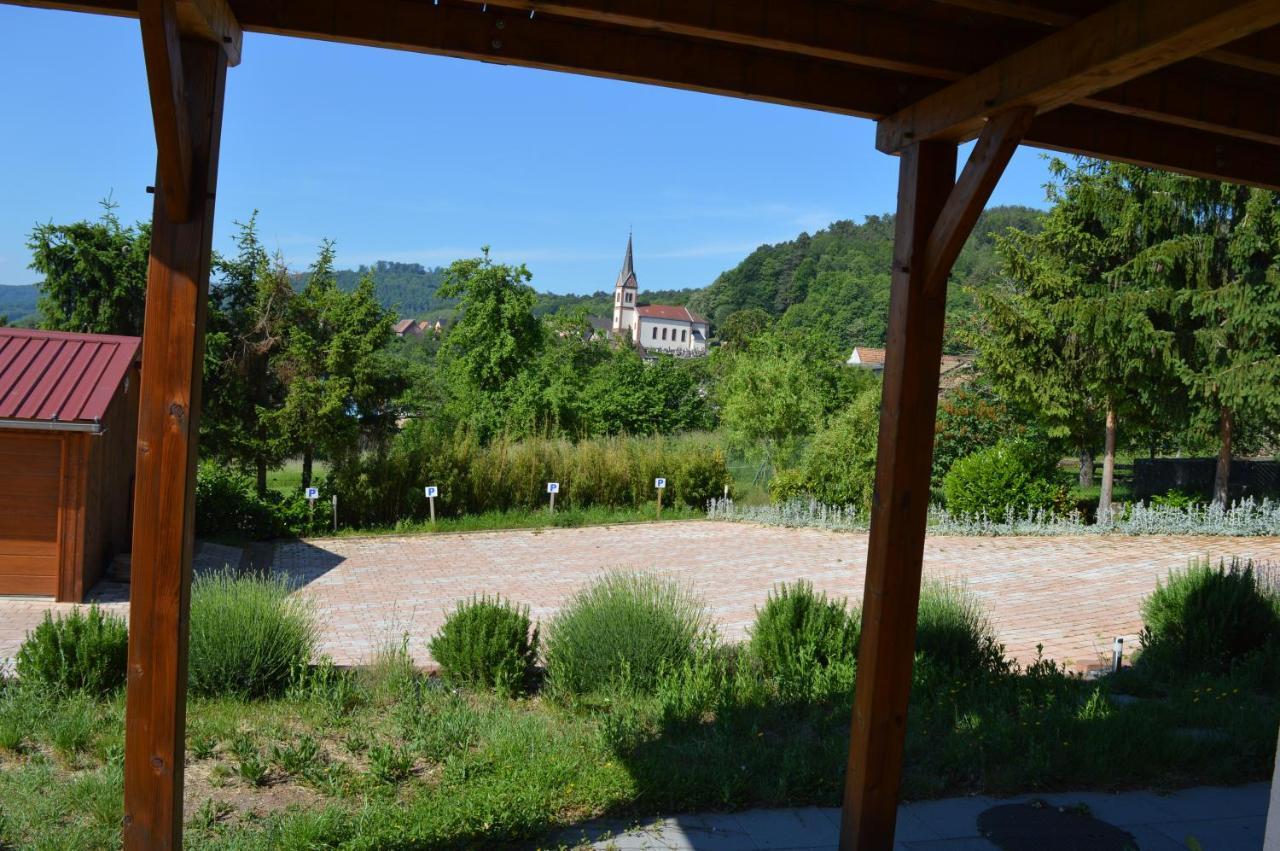 Chambres D'Hotes Les Vignes Saint-Jean-Saverne Екстериор снимка