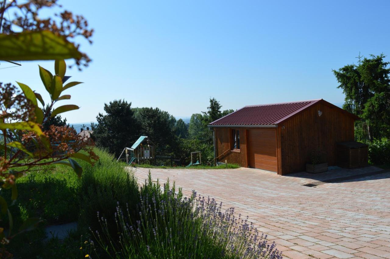 Chambres D'Hotes Les Vignes Saint-Jean-Saverne Екстериор снимка