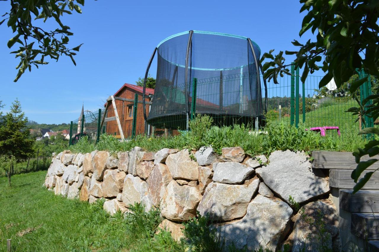 Chambres D'Hotes Les Vignes Saint-Jean-Saverne Екстериор снимка